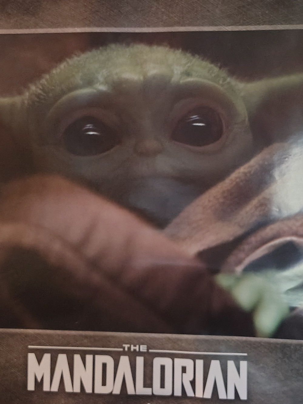 Baby Yoda Reptile Habitat Poster - Green
